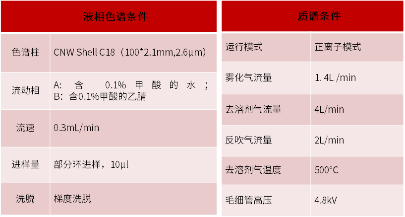 譜育科技