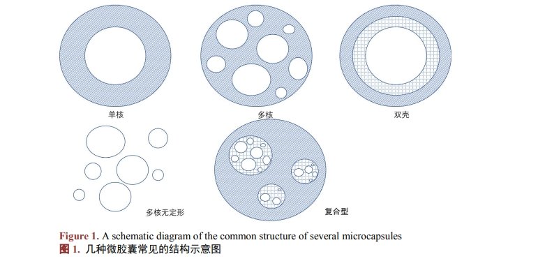 微膠囊常見的結(jié)構(gòu)